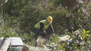 Communities are continuing to come together and clean up after Hurricane Helene [upl. by Anirac669]