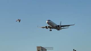 VistaJet Airlines Embraer Lineage 1000 Plane Landing at Toronto Airport from Louisville YYZ Landing [upl. by Maje]