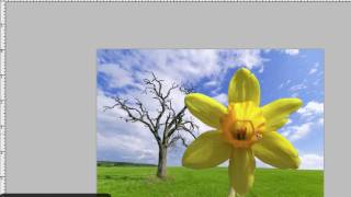 Adobe Photoshop CS3 Tutorial Quick Selection Tool [upl. by Atipul]