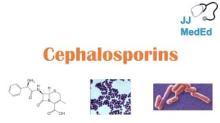 Cephalosporin Antibiotics 1st to 5th Generation Mechanism Side Effects and Bacterial Targets [upl. by Ys841]