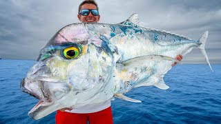 Most PRIZED Deep Sea Fish Catch Clean Cook African Pompano [upl. by Adlesirhc]