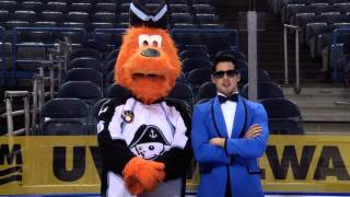 Milwaukee Admirals Gangnam Style [upl. by Aisyla]