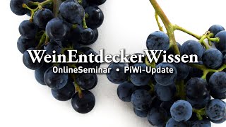 🍇 PiWiUpdate 🍇 – WeinEntdeckerWissen OnlineSeminar [upl. by Edd367]