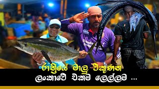 Fresh ම Fresh මාලූ කන්න ආස අයට  Night fish market wishwatiyubaya 😲🦈💯 [upl. by Hawger]