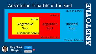 Aristotelians Theory on the Tripartite of the Soul TagalogEnglish [upl. by Vizzone]