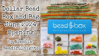 Dollar Bead Box and Bag June 2024 Opening [upl. by Woods601]