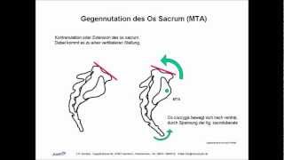 ISG Ilio Sacral Gelenk Biomechanik Manuelle Therapie Osteopathie Skript [upl. by Morgun298]