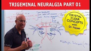 Trigeminal Neuralgia  Causes and Treatment  Part 1 [upl. by Dlabihcra492]