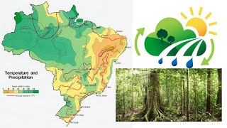 Landschap klimaat en vegetatie van Brazilië [upl. by Aihsiyt]