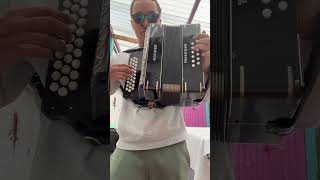 ROMUALDO BRITO  TATUAJE EN EL ALMA 🕶️🪗 vallenato hohner acordeon [upl. by Attenwad2]