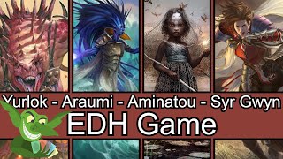 Yurlok vs Araumi vs Aminatou vs Syr Gwyn EDH  CMDR game play for Magic The Gathering [upl. by Elburt139]