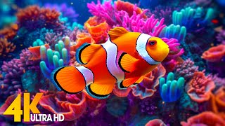 Aquarium 4K VIDEO ULTRA HD 🐠 Beautiful Coral Reef Fish  Relaxing Sleep Meditation Music [upl. by Reffineg]