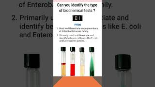 Quiz10  Biochemical test for identification of bacteria  shorts microbiology [upl. by Alver]