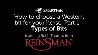 How to choose a Western bit for your horse Part 1  Types of bits [upl. by Sims]