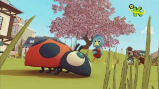 CALIMERO GOL POR INSECTO  Discovery Kids [upl. by Heimlich]