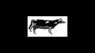 Polish cow for 8 minutes [upl. by Christan184]