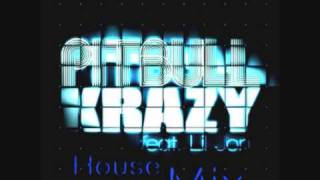 PiTBuLL Krazy House Remix 09 [upl. by Ilzel]