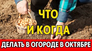 Сажаем ПОД ЗИМУ Лунный календарь огородника и садовода на ОКТЯБРЬ 2023 [upl. by Angil68]