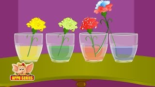 Learn Science through Home Experiments  Drinking Plants [upl. by Cyril]