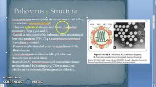 Microbiology 494 a Polio Virus PicoRNAVirus Structure [upl. by Wieren]