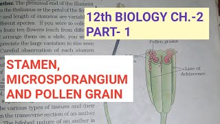 Class 12 biology chapter2 Part1 sexual rep in flower plantsStamensStudy with Farru [upl. by Gross]