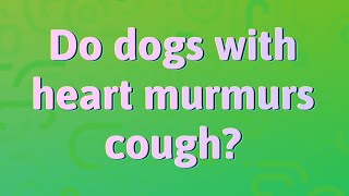 Do dogs with heart murmurs cough [upl. by Aicnerolf]