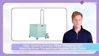 HighQuality Grocery Store Shopping Cart Manufacturer Exceptional Supplier from China [upl. by Bamby266]