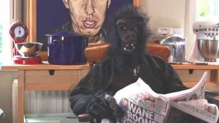 Interview with Harambe in the Afterlife [upl. by Klina]