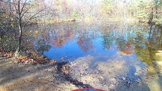 Taskers Gap Virginia OHV Trails  KDX220  October 2020 no 2  Fall colors [upl. by Mylo647]