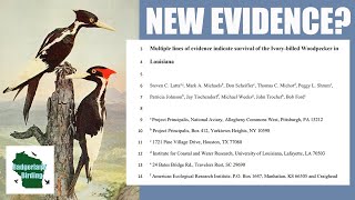 NEW Ivorybilled Woodpecker quotEvidencequot Is it Conclusive [upl. by Tail]