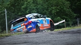 Rally del Taro 2023  CRASH MISTAKES amp SHOW [upl. by Stanly]