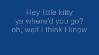 nice kitty song with lyrics [upl. by Eilac]