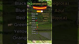 Colors in Spanish [upl. by Mercie]