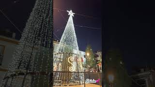 Beautiful Christmas tree Benalmadena November30 2024 [upl. by Osher]