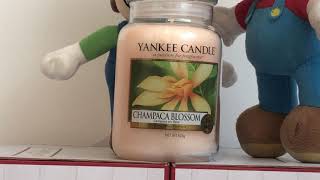 Yankee Candle Champaca Blossom Review RETIRED AND HARD TO FIND yankeecandle [upl. by Annaid]