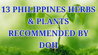 13 PHILIPPINES HERBS amp PLANTS RECOMMENDED BY DOH [upl. by Dugas]