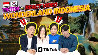 Reaksi Siswa Korea Nonton TikTok Wonder Land Indonesia  TIkTok ver  Amazing Indonesia [upl. by Ignatia881]