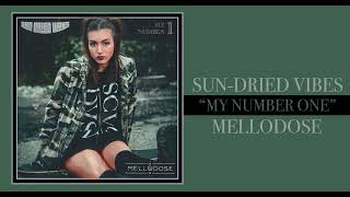 SunDried Vibes amp Mellodose  “My Number One” [upl. by Finegan]