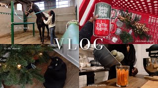 vlog  Christmas decor homemade pickled carrots morning at the ranch medical grade skincare [upl. by Katerine]