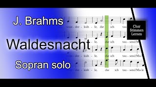 Waldesnacht J Brahms – nur Sopran  soprano solo [upl. by Malek]