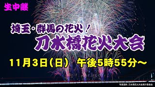 埼玉・群馬の花火！刀水橋花火大会 [upl. by Studner]