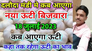 दलौदा मंडी मे कब आएगा ऊटी बिजवारा daloda mandi ooty bijvara bhav uti biju garlic [upl. by Yereffej]