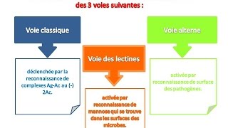 le système du complément explication pas plus simple partie 1 [upl. by Adamina]