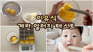 초기이유식ㅣ🥚계란알러지 테스트ㅣ계란 큐브ㅣ달걀 난각표기 읽는법ㅣ알레르기 테스트🥚 [upl. by Ahsiner]