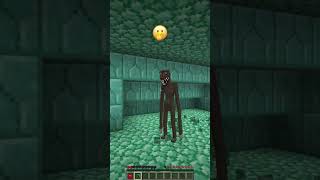 Everyone was Frightened of Something shorts minecraft meme [upl. by Aihseyn]