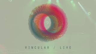 RON JAPPY VINCULAR LIVE [upl. by Sikko]