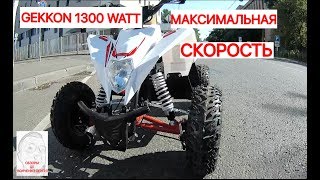 Максимальная скорость квадроцикла Gekkon 1300w [upl. by Brade]