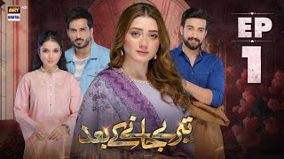 Teray Janay Kay Baad Episode 1  30 July 2024 English Subtitles  ARY Digital Drama [upl. by Anifares]