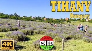 Tihany 🇭🇺 Hungary 2022 Lavender Festival and Lavender Weeks 54 min [upl. by Aluino582]