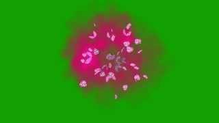 Green Screen Butterflies Explosion HD Free Online Video [upl. by Eggleston]